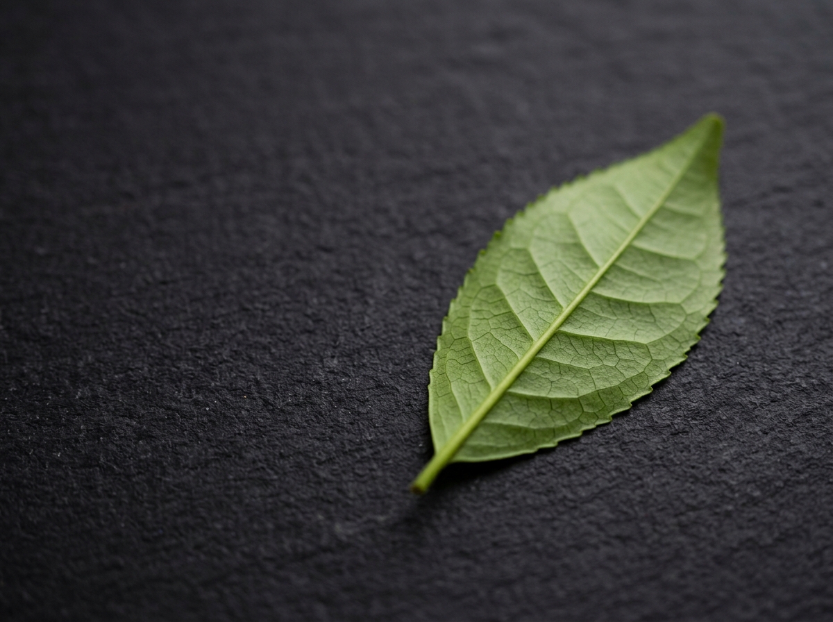 茶葉のクローズアップ